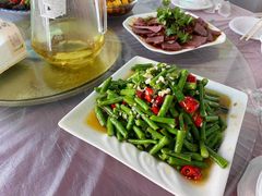 -照金特色农家乐