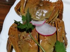 醉花雕太湖六月黄-呼吸森林·生态农庄农家乐私房菜