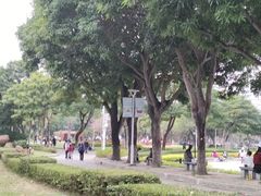 -金砂公园