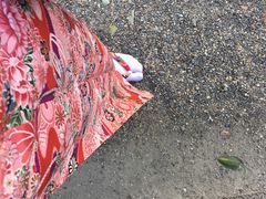 -京都冈本和服体验租赁店(祗园店)