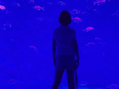 -波塞冬旅游度假区