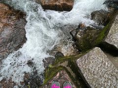 -广州白江湖森林公园