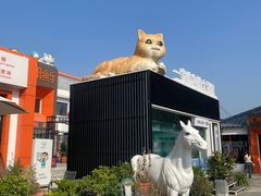 -向外鱼乐·土菜·虹鳟鱼