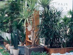 -北马山庄植趣咖啡