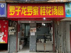 -罗子龙罗家桂花汤圆(曹都巷店)