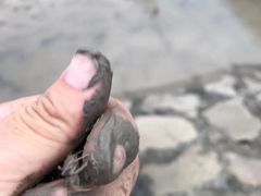 -碧海金沙