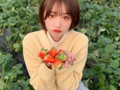 -摩天活力城·摩天轮