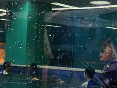 -Swim斯卫姆国际儿童游泳中心(红博中央公园店)