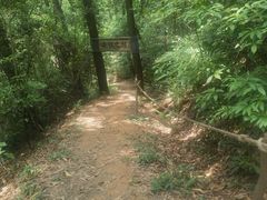 -广州市帽峰山景区