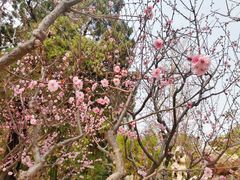 -北京市劳动人民文化宫(太庙)