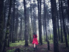 -石棉县孟获城