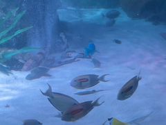 -沈阳海洋探索中心