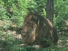 -石家庄市动物园