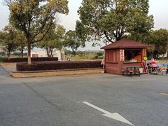 -漕湖湿地公园