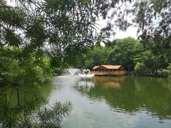 -深圳野生动物园