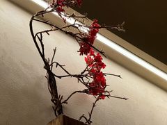 -鱼四季·新融合料理(苏宁广场店)