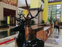 -韶关经律论国际酒店温泉