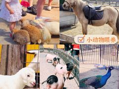 -前小桔亲子创意农场·草莓采摘·露营烧烤