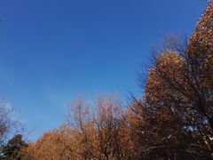 -西北农林科技大学(北校区)