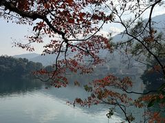-广州市流溪河国家森林公园