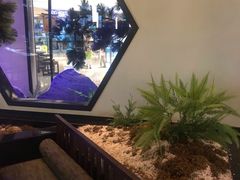 -绿茶餐厅(成都大悦城店)