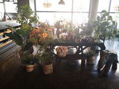 -LYFATTI 莱芙缇(赣水路店)