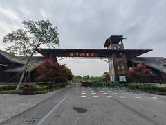 -泗洪洪泽湖湿地景区