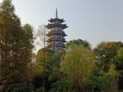 -洋湖国家湿地公园