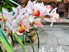 -和顺古镇