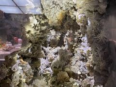 -湖南省地质博物馆