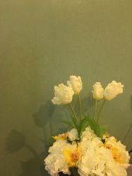-瀞莱美美容中心