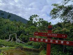 -呀诺达热带雨林
