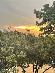 -广州市儿童公园