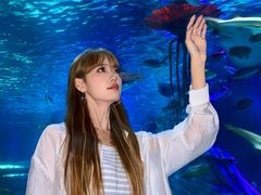 -沈阳海洋探索中心