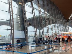 -西沃古尔·拉姆古兰爵士国际机场