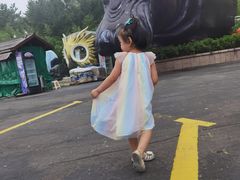 -西霞口神雕山野生动物世界