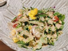 蔬菜沙拉-活鳗饭·鹅肝范儿(高碑店店)