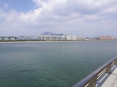 -星光岛