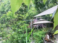 -谷咖啡·鲜花绿植花园餐厅