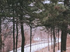 -北京西山国家森林公园