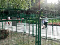 -长白岛森林公园