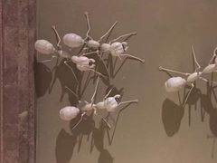 -三清山希尔顿度假酒店