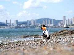 -星海湾跨海大桥