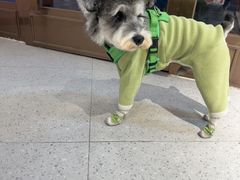 -FAELING PETS美天灵宠物(富力广场店)