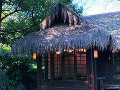 -中国茶叶博物馆(双峰馆区)