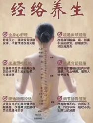 -智丽佳人祛斑祛痘美容美体