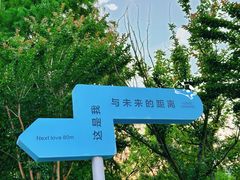 -滴水湖