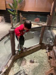 -造物庄园 萌宠纪(苏州湾歌林公园店)