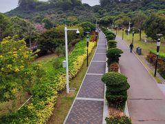 -立新湖公园