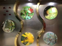 -上海昆虫博物馆